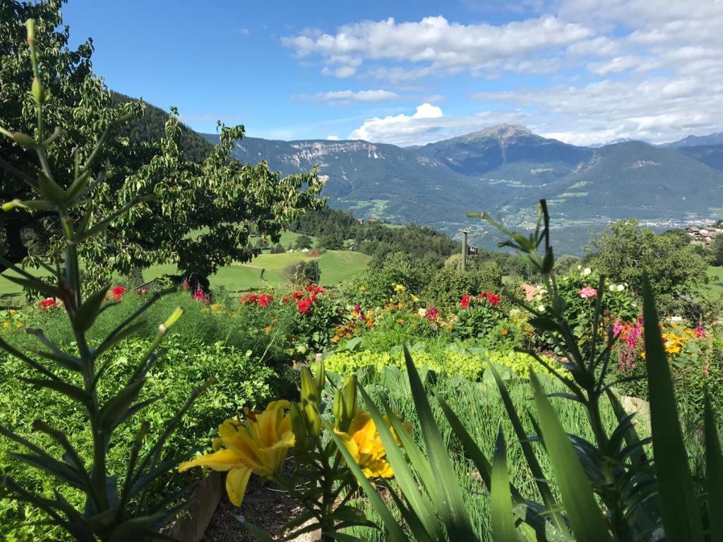 Ferienwohnung Alpenrose Mölten Exterior foto