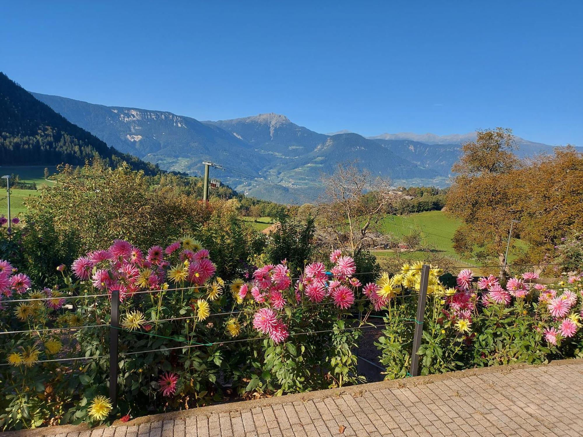 Ferienwohnung Alpenrose Mölten Exterior foto